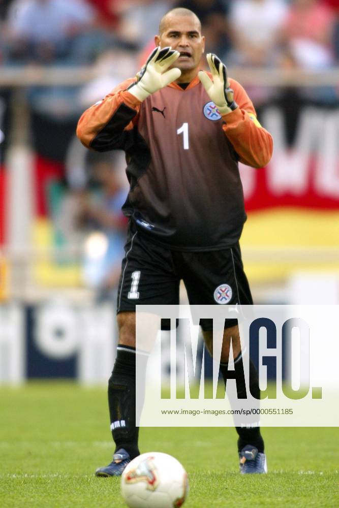 Torwart Jose Luis Chilavert (Paraguay) gibt Anweisungen Fußball WM Herren Weltmeisterschaft 2002, Länderspiel, Achtelfinale, Nationalmannschaft, Nationalteam, Vdig Einzelbild Jeju WorldCupStadium Seogwipo