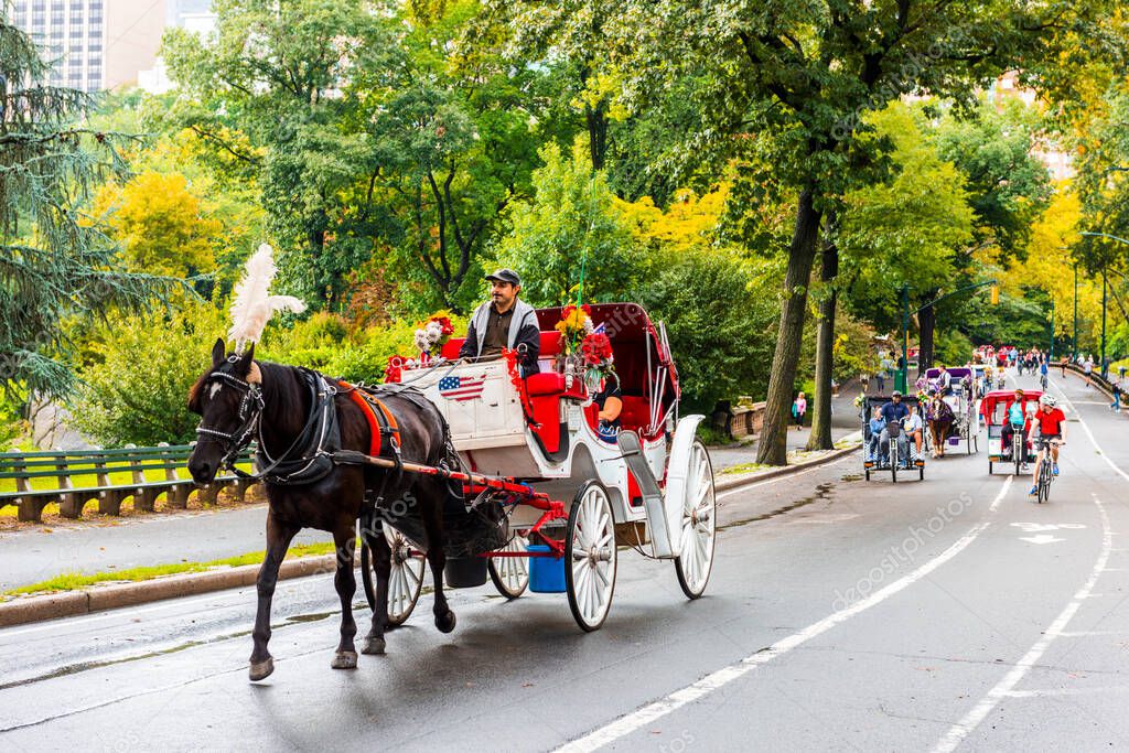 CENTRAL PARK. Central Park is an urban park in Manhattan. Popular destination for tourists. New York City, USA.