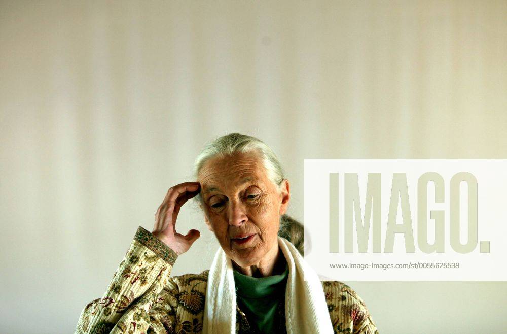 IMAGO ICONS: Jane Goodall Jane Goodall in SA JOHANNESBURG, SOUTH AFRICA - JULY 28: British primatologist and animal activist Jane Goodall addressing the media at the Johannesburg Zoo on July 28, 2011 in Johannesburg, South Africa during her visit in the country where she will be launching Jane s Journey DVD. ( Gallo00011157