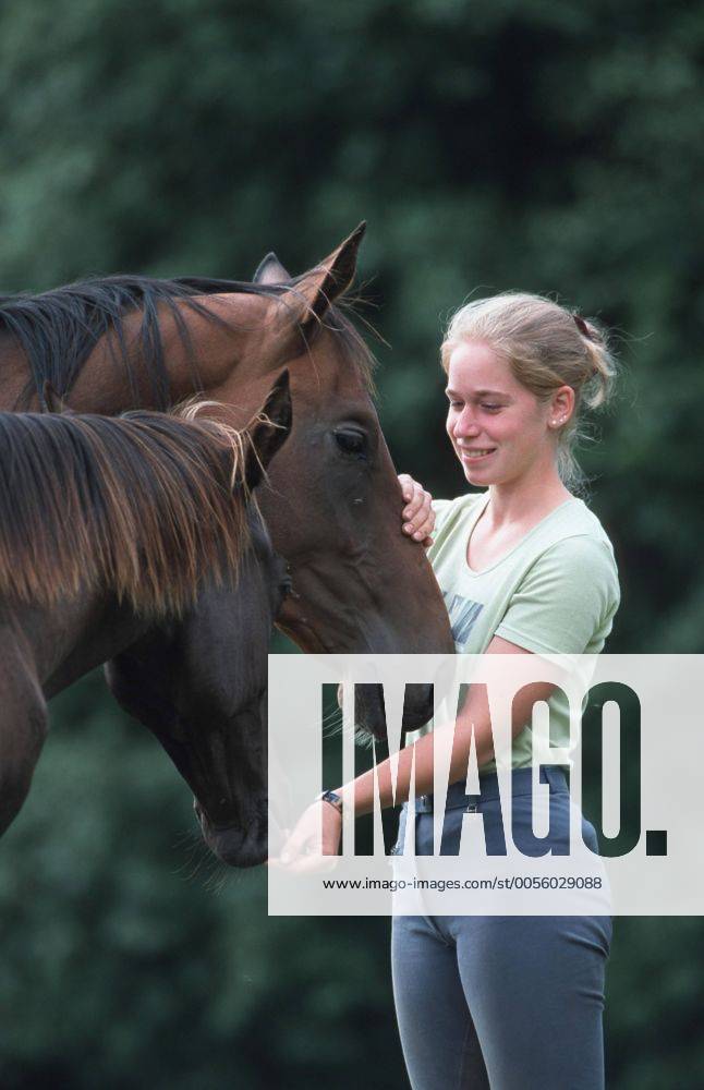 Achal-Tekkiner (Equus przewalskii f. caballus), Maedchen streichelt Pferd Akhal-Teke horse (Equus przewalskii f. caballus), girl strocking horses BLWS006957