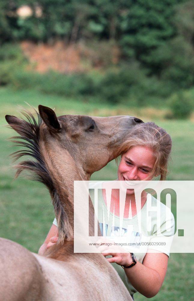 Achal-Tekkiner (Equus przewalskii f. caballus), Maedchen streichelt Pferd Akhal-Teke horse (Equus przewalskii f. caballus), girl strocking horses BLWS006958