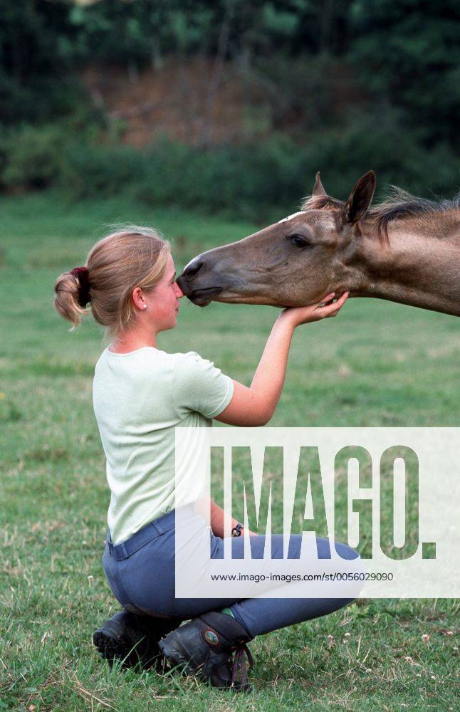 Achal-Tekkiner (Equus przewalskii f. caballus), Maedchen streichelt Pferd Akhal-Teke horse (Equus przewalskii f. caballus), girl strocking horses BLWS006959