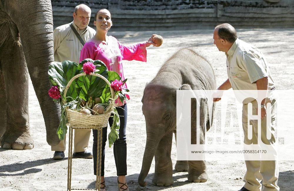 Nandini Mitra Fernseh-Moderatorin Nandini Mitra tauft mit Kokosmilch das Elefanten-Baby Shahrukh im Hamburger Tierpark Hagenbeck Foto:xU.xGlockmannx xFuturexImage