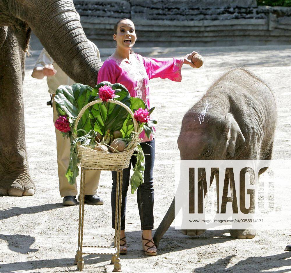 Nandini Mitra Fernseh-Moderatorin Nandini Mitra tauft mit Kokosmilch das Elefanten-Baby Shahrukh im Hamburger Tierpark Hagenbeck Foto:xU.xGlockmannx xFuturexImage