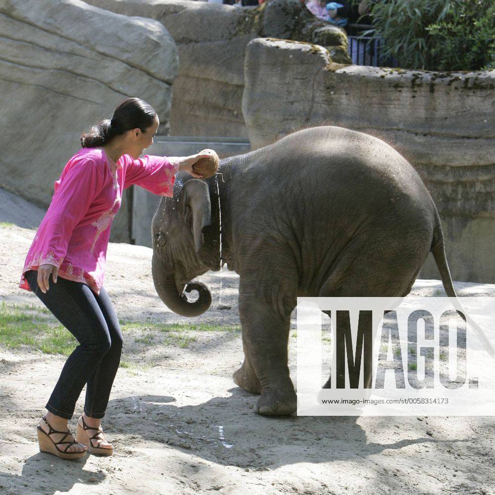 Nandini Mitra Fernseh-Moderatorin Nandini Mitra tauft mit Kokosmilch das Elefanten-Baby Shahrukh im Hamburger Tierpark Hagenbeck Foto:xU.xGlockmannx xFuturexImage