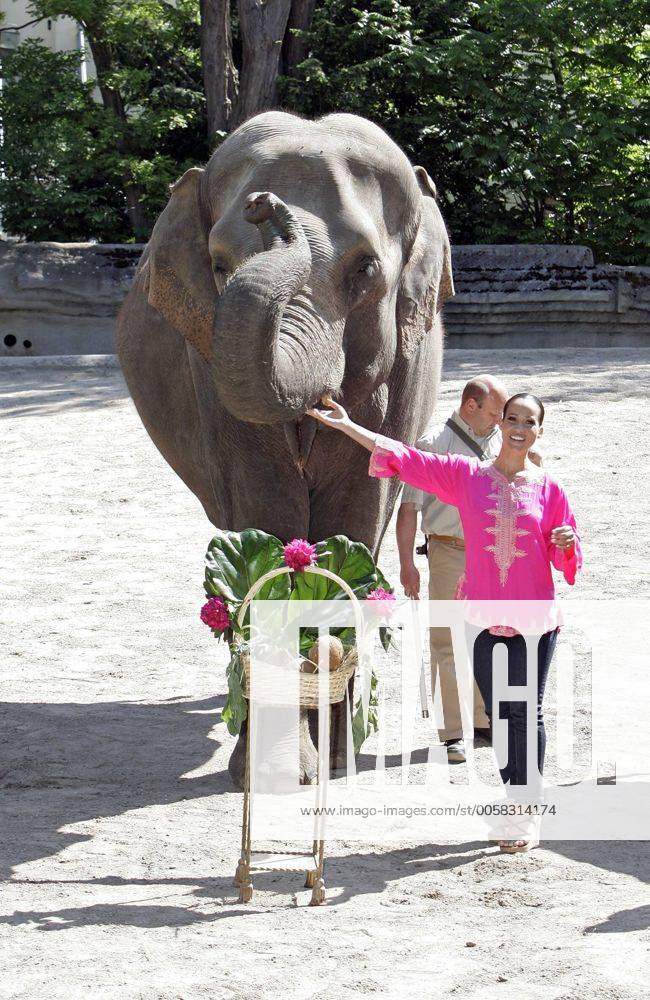 Nandini Mitra Fernseh-Moderatorin Nandini Mitra tauft mit Kokosmilch das Elefanten-Baby Shahrukh im Hamburger Tierpark Hagenbeck Foto:xU.xGlockmannx xFuturexImage