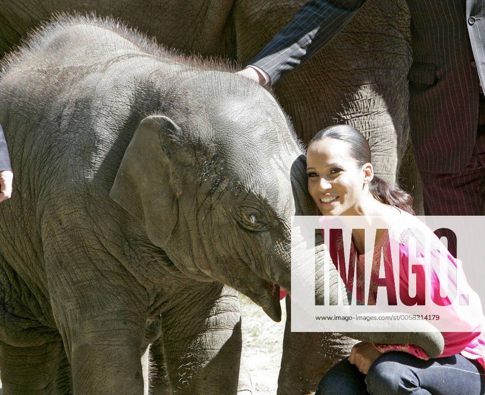 Nandini Mitra Fernseh-Moderatorin Nandini Mitra tauft mit Kokosmilch das Elefanten-Baby Shahrukh im Hamburger Tierpark Hagenbeck Foto:xU.xGlockmannx xFuturexImage