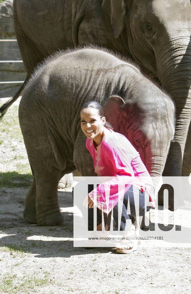 Nandini Mitra Fernseh-Moderatorin Nandini Mitra tauft mit Kokosmilch das Elefanten-Baby Shahrukh im Hamburger Tierpark Hagenbeck Foto:xU.xGlockmannx xFuturexImage