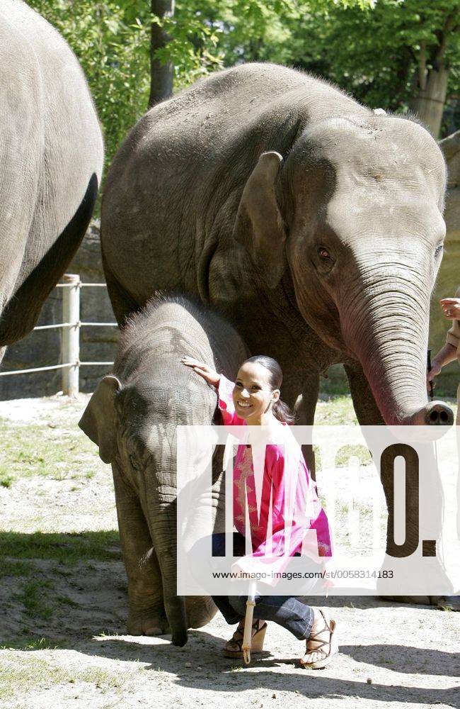 Nandini Mitra Fernseh-Moderatorin Nandini Mitra tauft mit Kokosmilch das Elefanten-Baby Shahrukh im Hamburger Tierpark Hagenbeck Foto:xU.xGlockmannx xFuturexImage