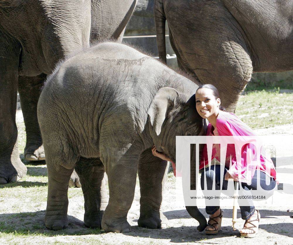 Nandini Mitra Fernseh-Moderatorin Nandini Mitra tauft mit Kokosmilch das Elefanten-Baby Shahrukh im Hamburger Tierpark Hagenbeck Foto:xU.xGlockmannx xFuturexImage
