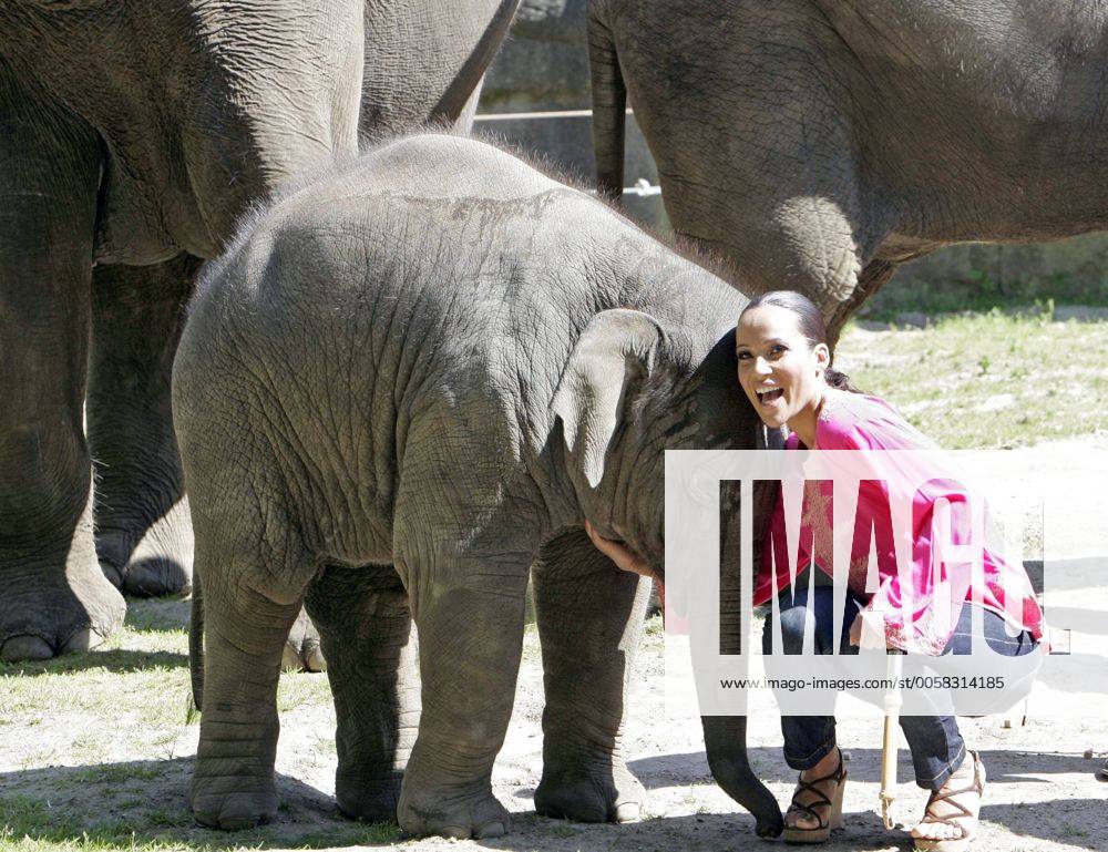 Nandini Mitra Fernseh-Moderatorin Nandini Mitra tauft mit Kokosmilch das Elefanten-Baby Shahrukh im Hamburger Tierpark Hagenbeck Foto:xU.xGlockmannx xFuturexImage