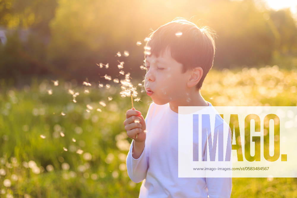 IMAGO Creative: Sommer, Sommertage im Stadtpark A boy blows up a dandelion in the sunset light. Summer flowers. a summer evening. evening sunset light . happy childhood A boy blows up a dandelion in the sunset light. Summer flowers. a summer evening. evening sunset light . happy childhood. High quality photo ,model released, Symbolfoto