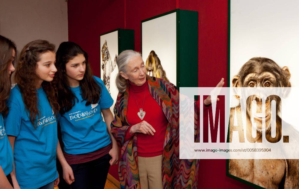 IMAGO ICONS: Jane Goodall Jane Goodall im Kinder- und Jugendmuseum Muenchen - gemeinsam mit deutschen Mitgliedern ihrer JugendInitiative roots & shoots besucht die bekannte Verhaltensforscherin die Dschungel-Ausstellung des Museums.
