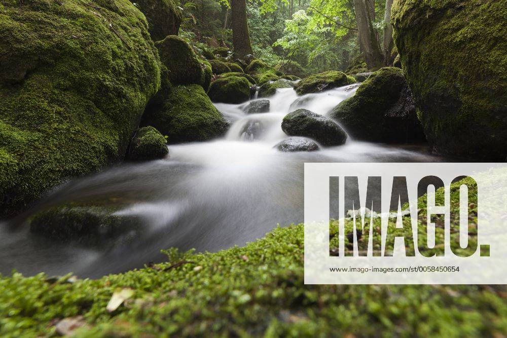 Bach, Druidenweg, Ysperklamm, Waldviertel, Niederösterreich, Österreich, Europa iblals02325368