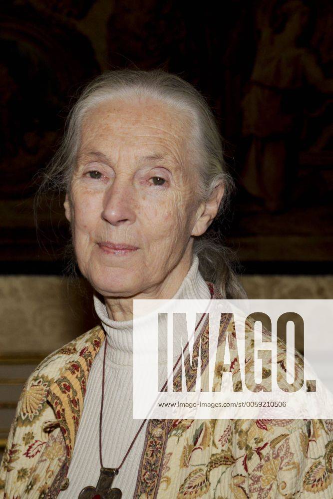 IMAGO ICONS: Jane Goodall Jane Goodall SPORT : PK - Rallye Aicha des gazelles 2013 - Paris - 12 02 2013 MarineAndrieux Panoramic