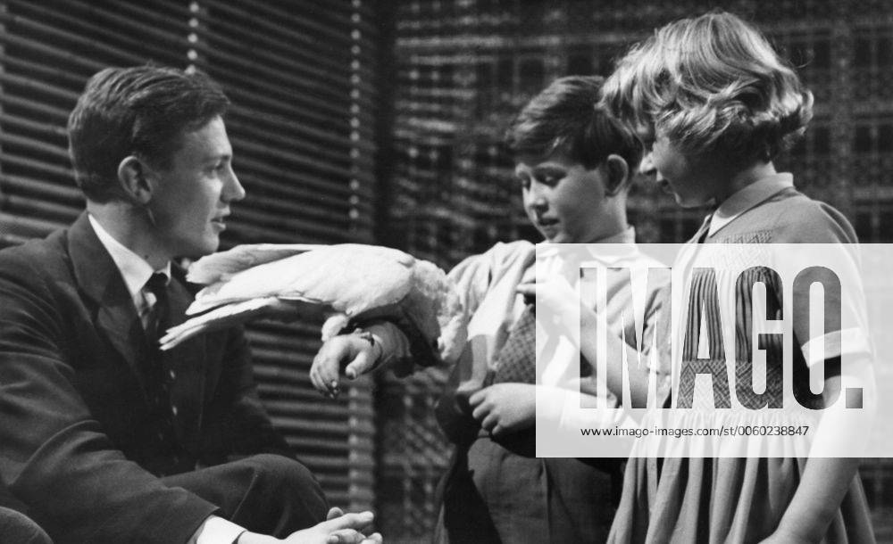 IMAGO ICONS: Sir David Attenborough Prince Charles and his sister princess Anne make friends with David Attenborough d 3 year old cockatoo, Cocky at the BBC television studios at Lime Grove. 29th April 1958, Prinz, Fernsehen, Fernsehshow, Fernsehstar, Fernseher UnitedArchives01033203