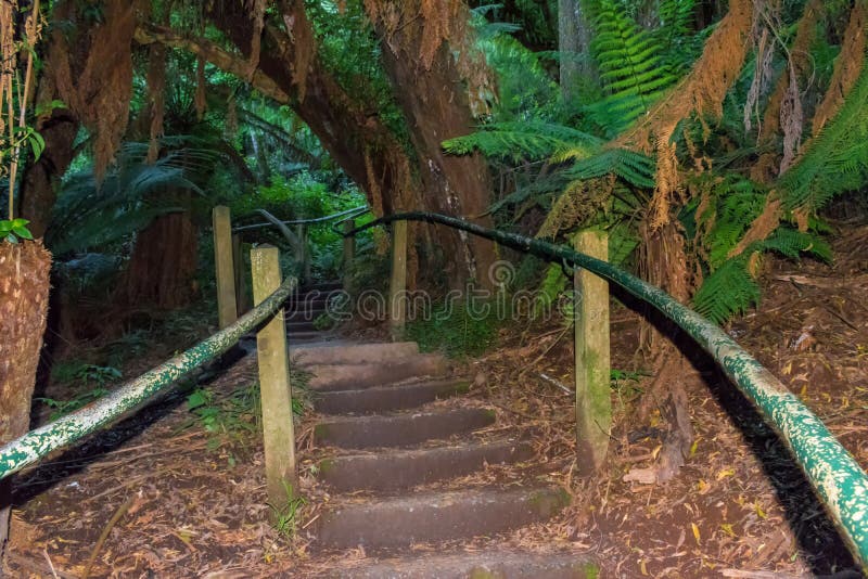 1000 steps in Dandenong ranges, Victoria, Australia, The 1000 Steps Kokoda Walk is a unique and renowned tourist spot in the Dandenong Ranges, Victoria, Australia. It is a beautiful walking track with adjacent forested areas, bushlands and various scenic points.