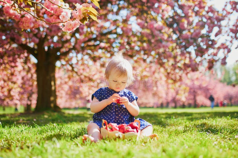 Girl sitting on the grass and eating strawberries, Cute one year old girl sitting on the grass and eating strawberries. Kid in park at sunny weather and cherry blossom season model released