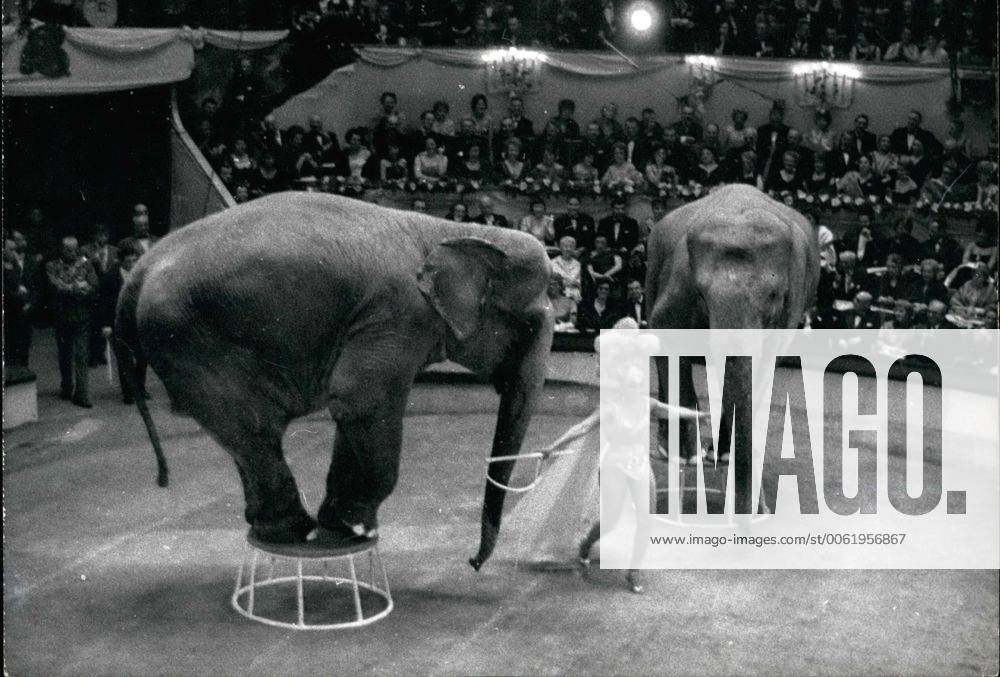 IMAGO ICONS: Josephine Baker Mar. 04, 1961 - Josephine Baker as elephant tamer at artists charity show: The annual charity shows organised by the Union of Paris artists was held at Cirque D Hiver, Paris, Last Night. Photo shows Josephine Baker showing her act of Elephant Tamer. - ZUMAk09