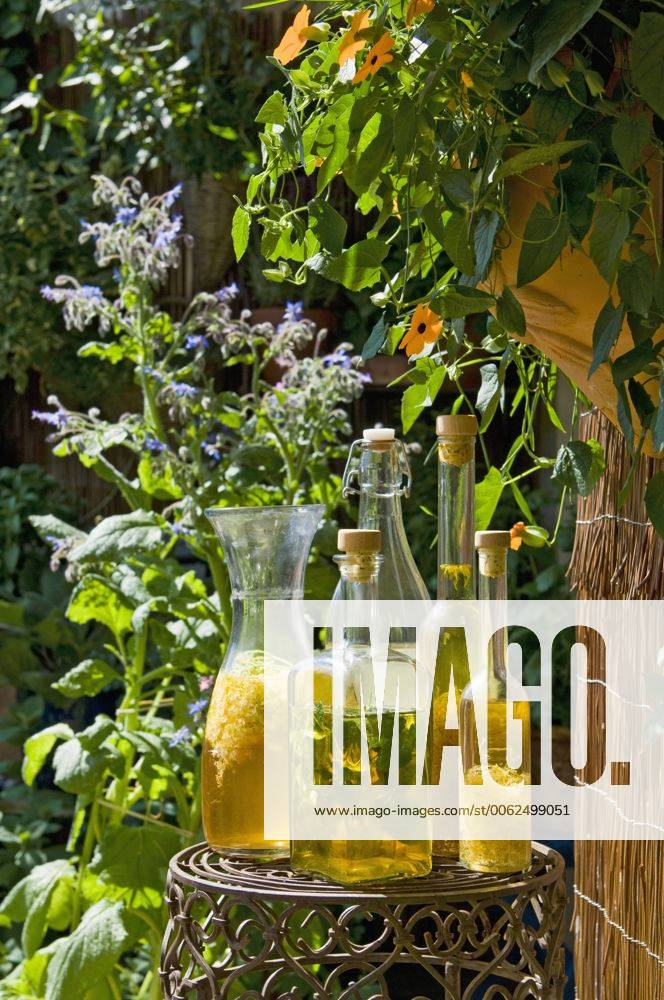 !! ACHTUNG PUBLIKATIONSSPERRE FÜR KALENDERTITEL BIS ZUM 31.12.2018 !!! Austria, Salzburger Land, Different bottles with vinegar and oil plced on side table in garden HHF02874