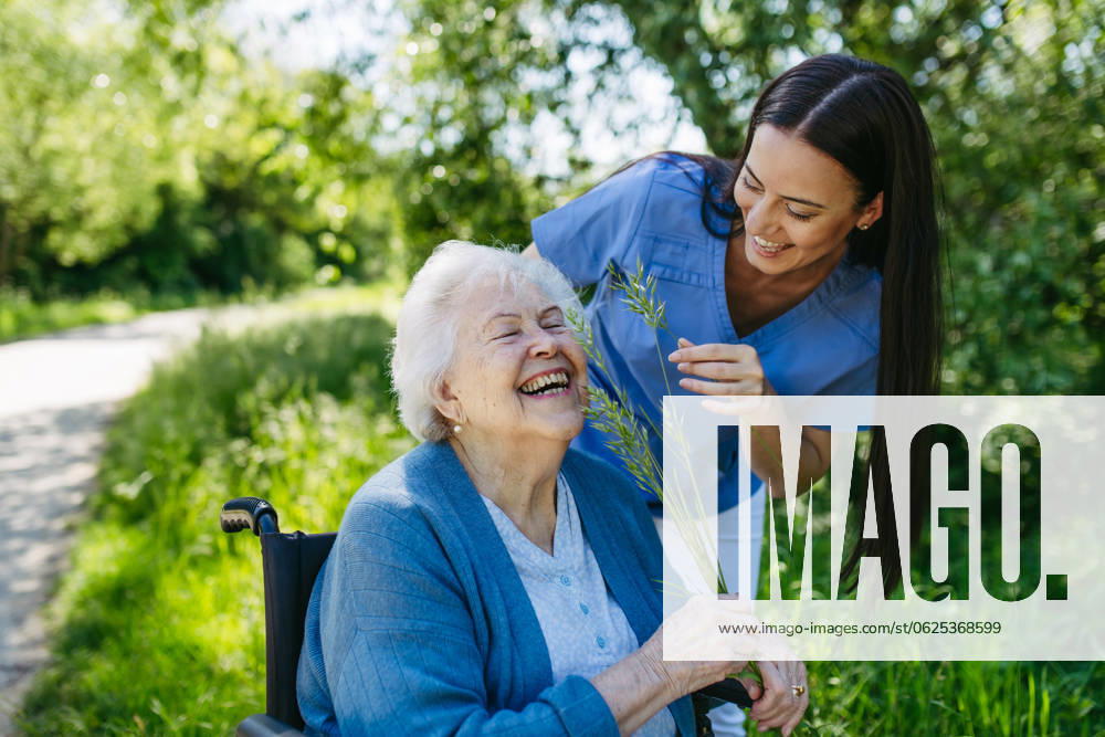 IMAGO Creative: Sommer, Sommertage im Stadtpark Female caregiver and senior woman in wheelchair picking wild flowers. Nurse and elderly woman enjoying a warm day in nursing home, public park. Caregiver and senior woman in wheelchair picking wild flowers. Nurse and elderly woman enjoying a warm day in nursing home, public park. model released