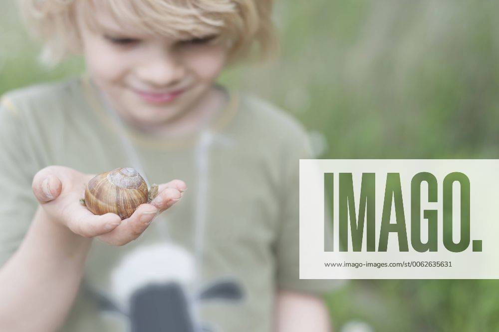 Germany, Saxony, Edible snail on hand of a boy model released MJF001291