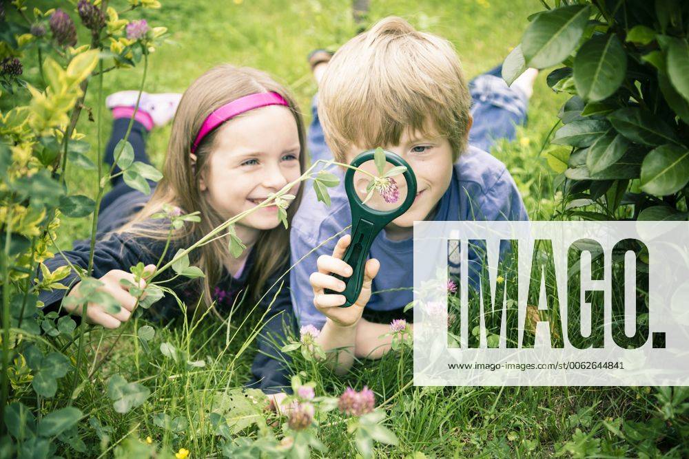 Brother and sister lying on meadow watching flowers with magnifying glass model released SARF000679