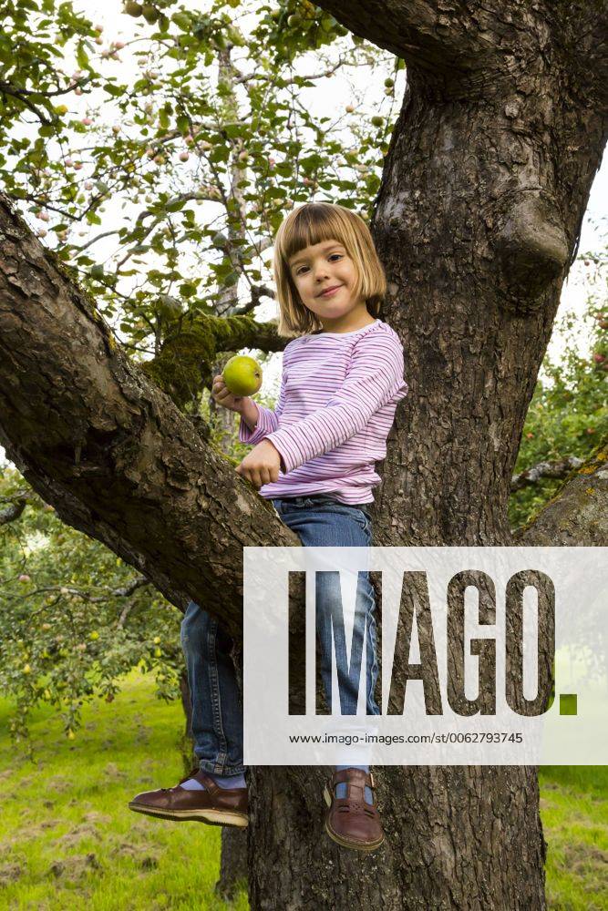 Portrait of smiling little girl with an apple sitting on an apple tree model released Symbolfoto LVF001795