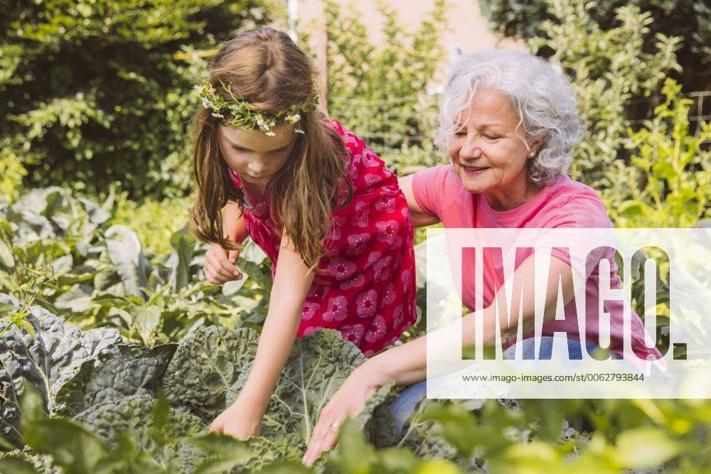 Germany, Northrhine Westphalia, Bornheim, Grandmother and granddaughter working in vegetable garden model released Symbolfoto property released MFF001195