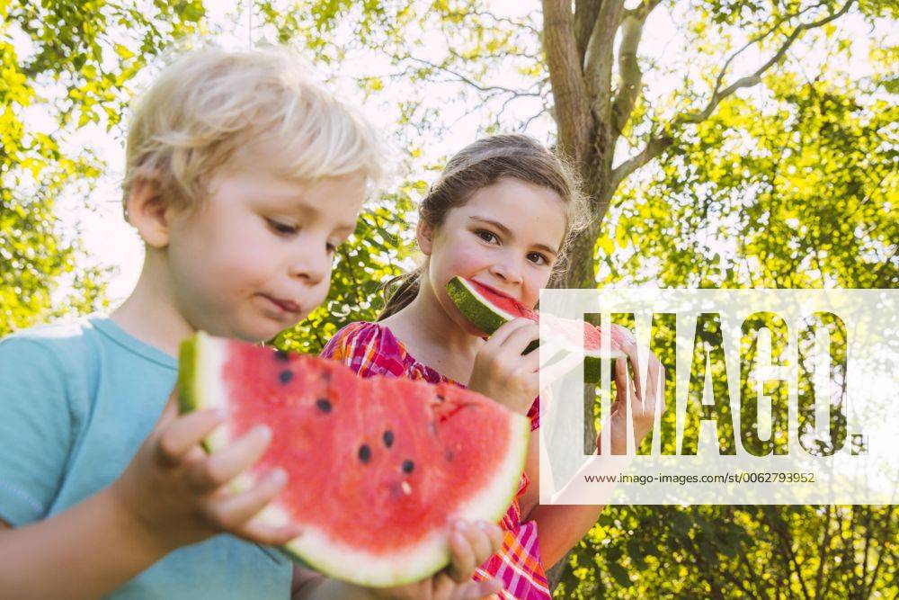 Children eating slices of watermelon in garden model released Symbolfoto property released MFF001283