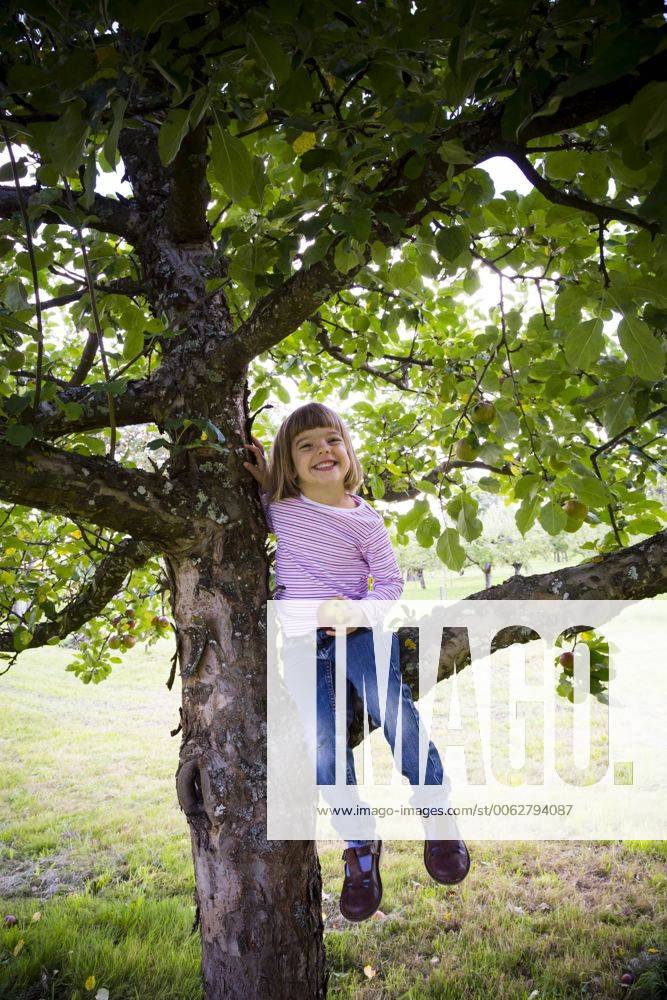 Portrait of smiling little girl with an apple sitting on an apple tree model released Symbolfoto LVF001796