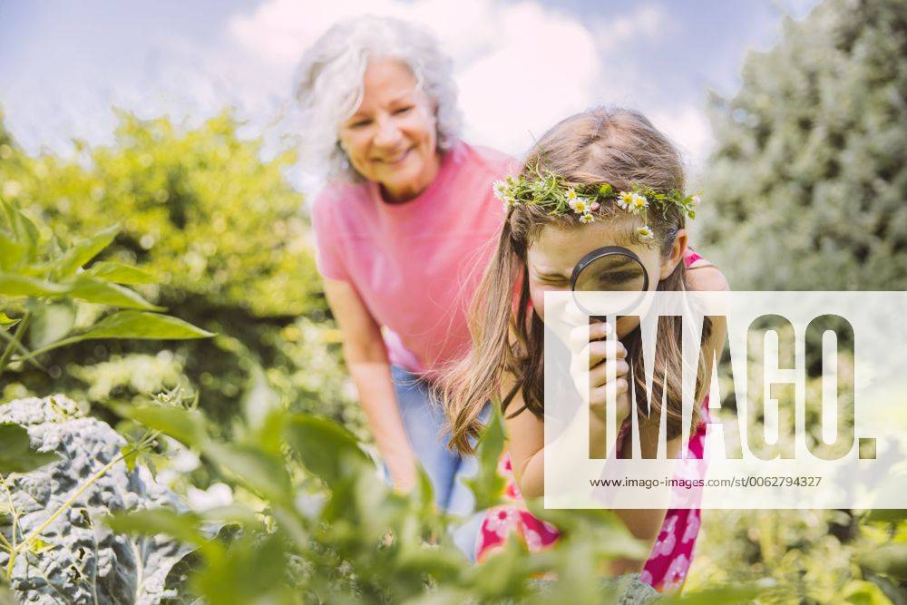 Germany, Northrhine Westphalia, Bornheim, Grandmother and granddaughter working in vegetable garden model released Symbolfoto property released MFF001196