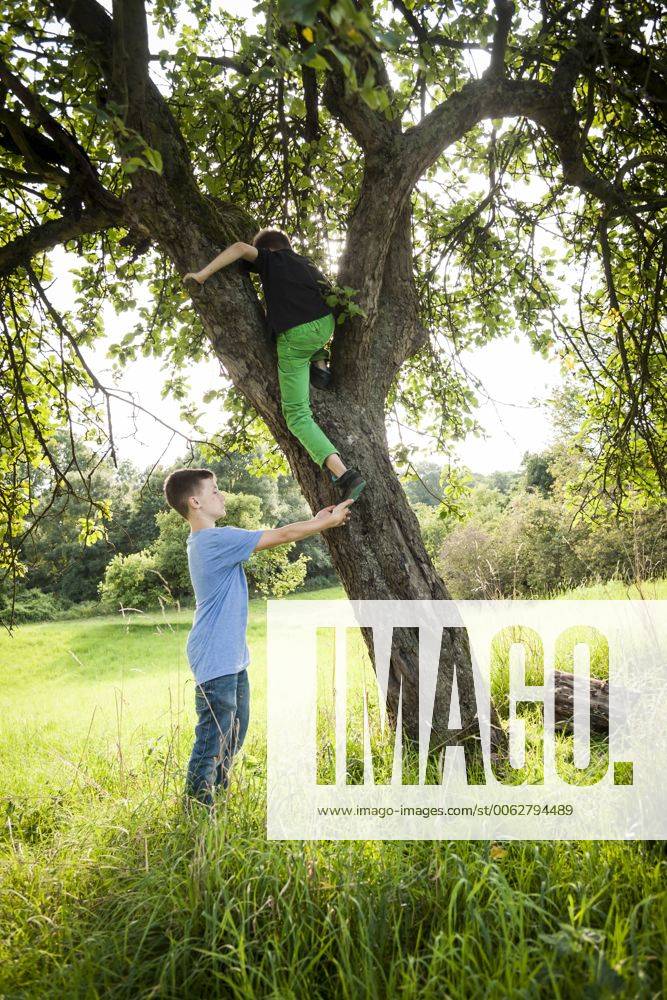 Boy helping his friend to climb down a tree model released Symbolfoto PAF000858