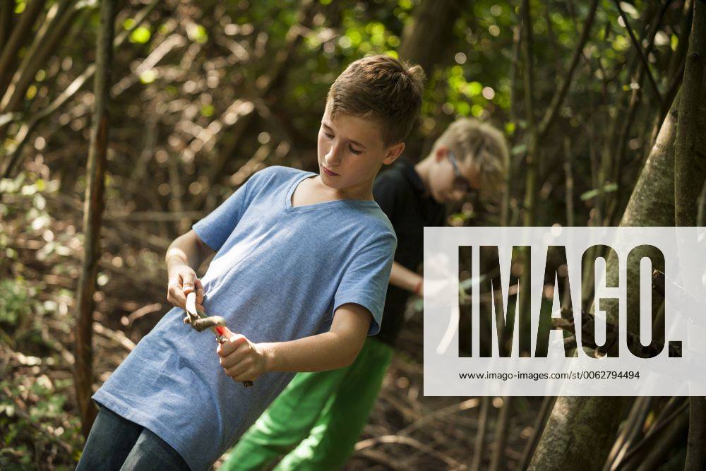 Two boys carving twigs with their pocket knives in a forest model released Symbolfoto PAF000877