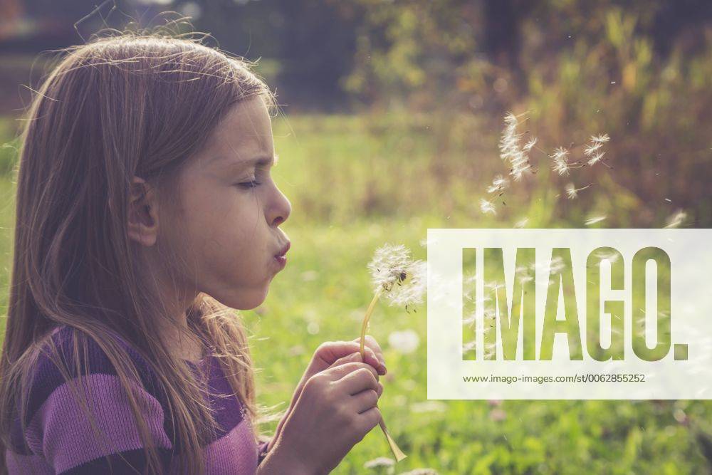 Little girl blowing blowball model released Symbolfoto SARF000937