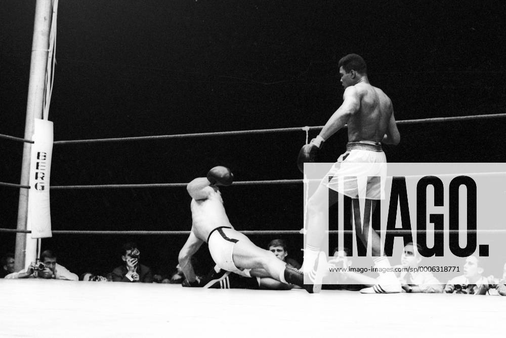 Knock out von Karl Mildenberger (BR Deutschland, li.) durch Cassius Clay (USA später Muhammad Ali) in Frankfurt 1966 Boxen WM Herren Schwergewicht 1966 Boxsport, Profiboxen Gruppe Frankfurt M.