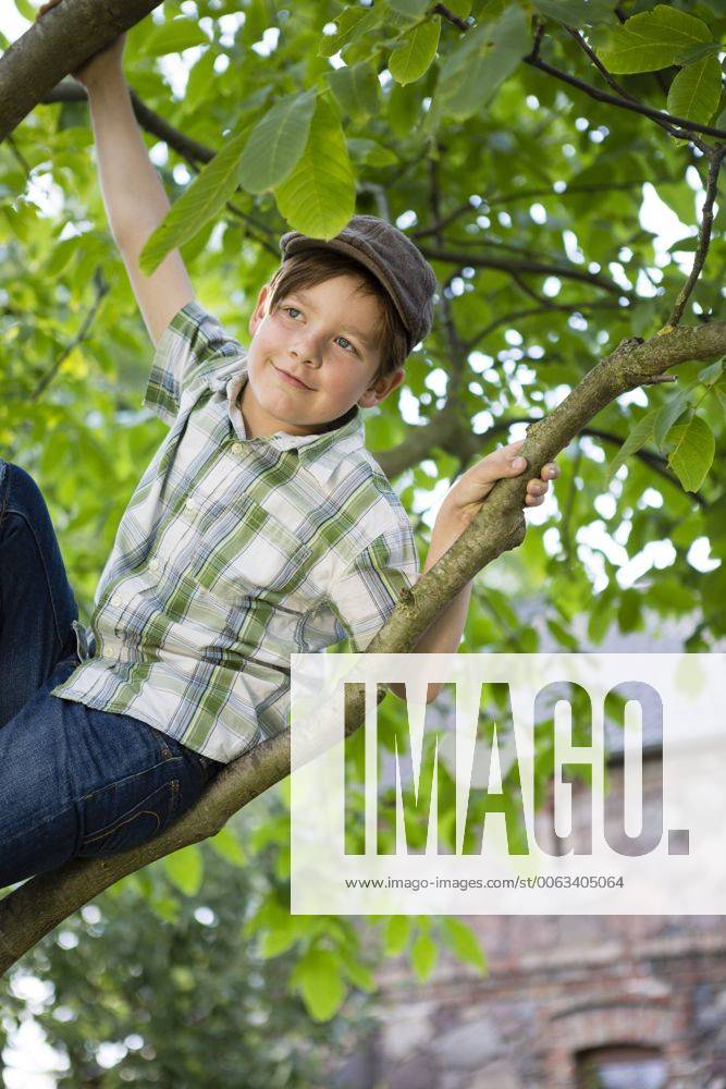 Portrait of little boy climbing in a tree model released Symbolfoto FKIF000043