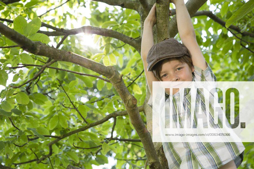 Portrait of little boy climbing in a tree model released Symbolfoto FKIF000045