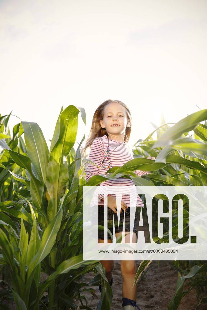 Little girl running through maize field model released Symbolfoto FKIF000073