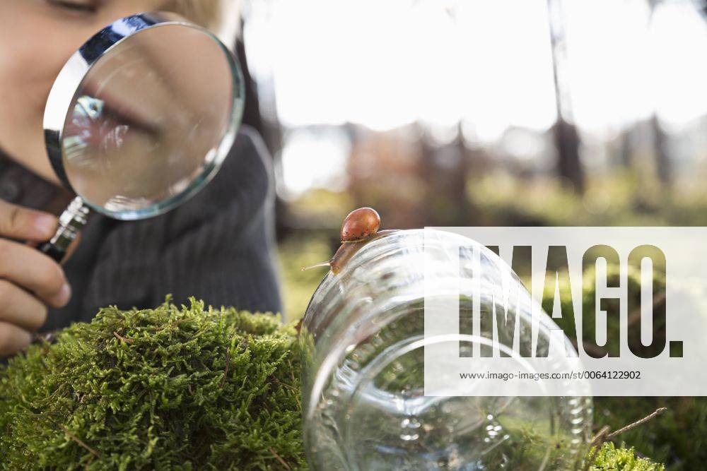 Little boy watching snail with magnifying glass in a forest model released Symbolfoto PDF000818