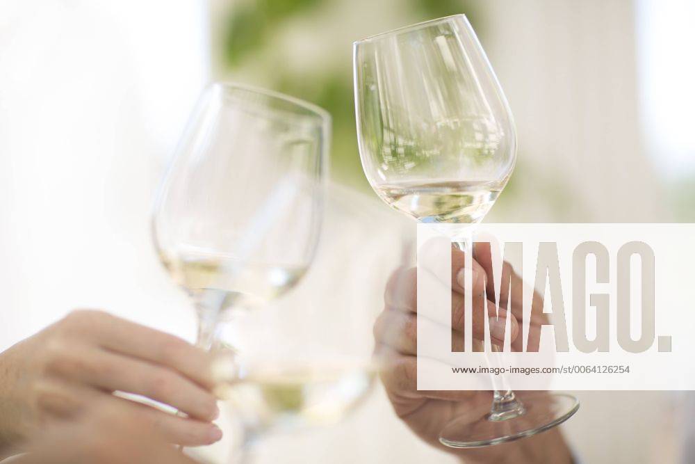 Hands holding glasses of white wine model released Symbolfoto property released ZEF003198