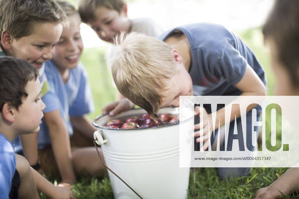 Boy trying to take apple out of bucket with water model released Symbolfoto property released ZEF002832
