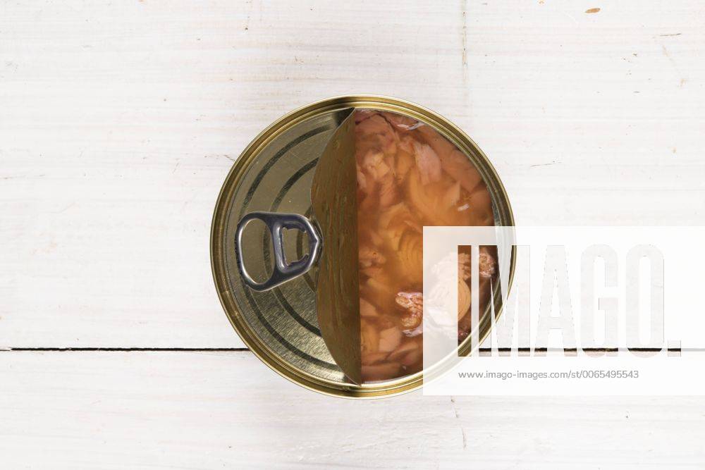 Canned tuna VIF000339