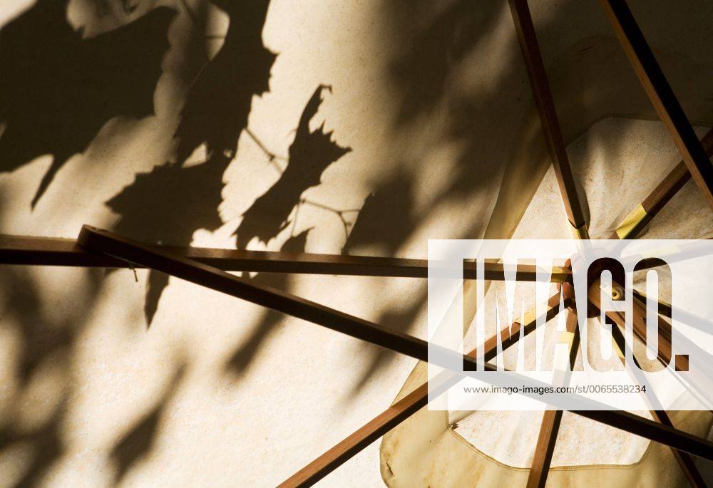 IMAGO Creative, Sommer, Schatten-Plätze bei Hitze Schatten von Blaettern auf einem Sonnenschirm, Italien, Rom Tree leaves cast shadows over a street umbrella, Italy, Rome BLWS156459