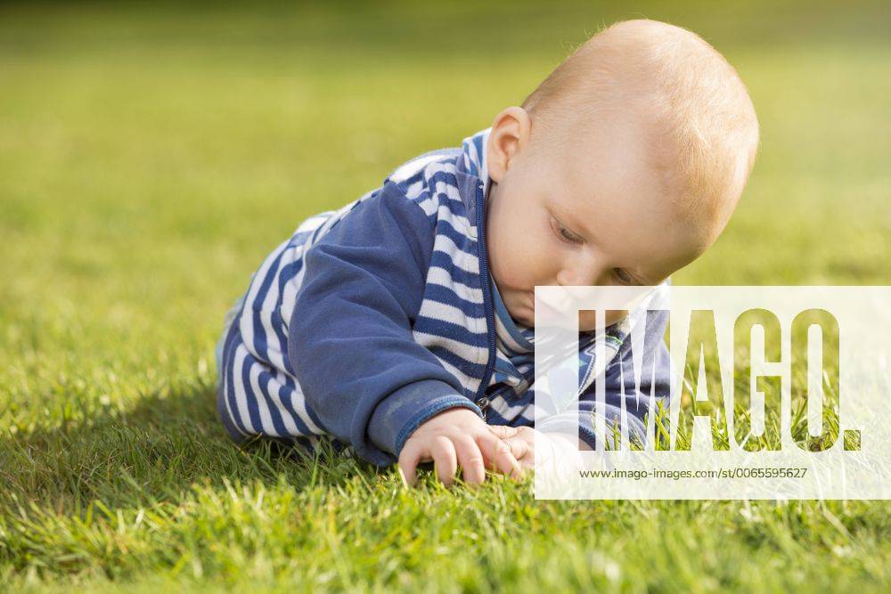 Baby boy lying on a meadow exploring the grass model released Symbolfoto TAM000113