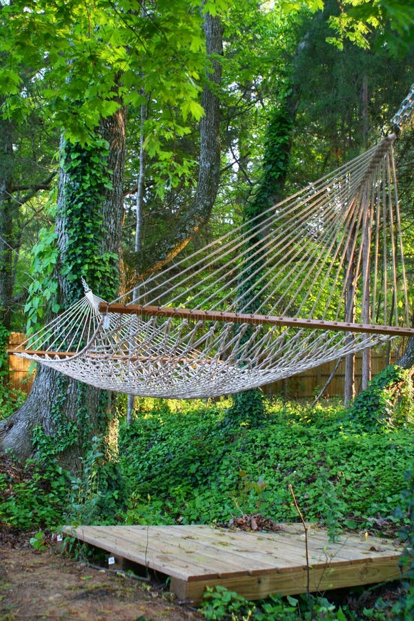 Tranquil hammock, A tranquil hammock under a green canopy