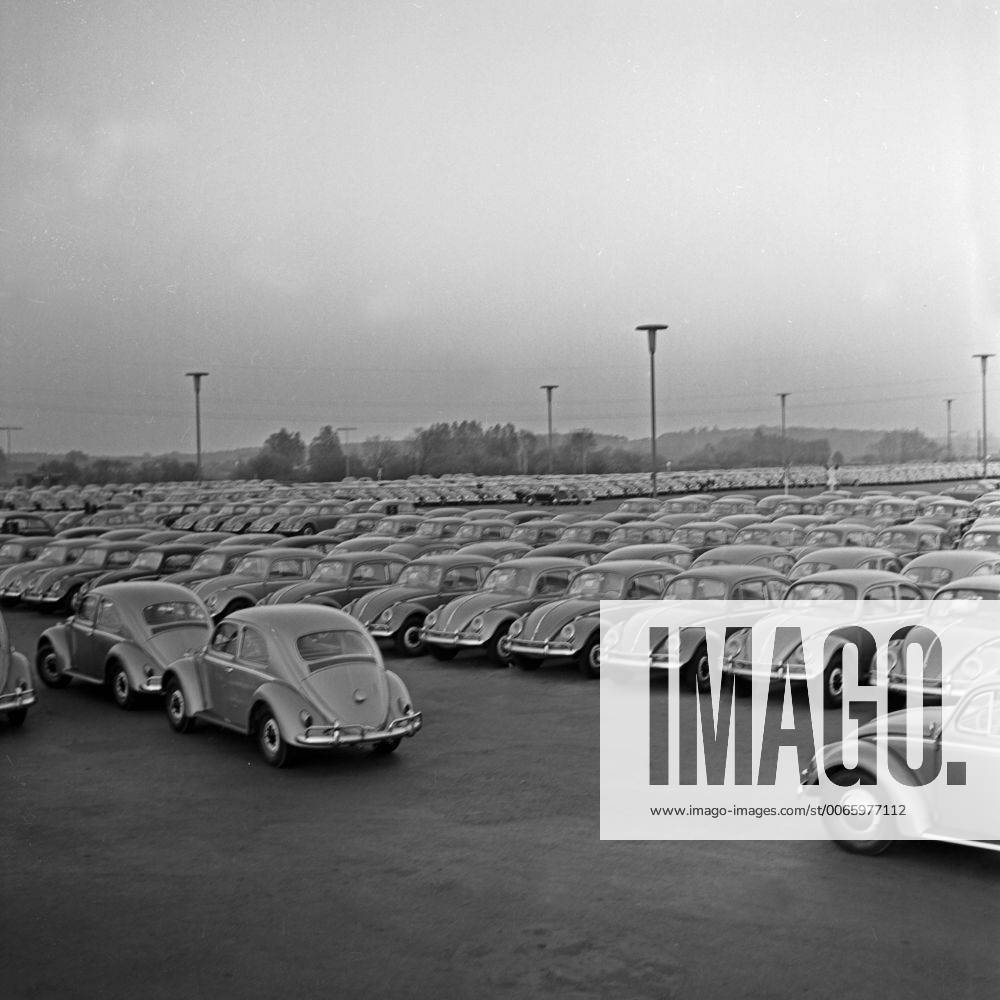VW Käfer auf Halde produziert im Volkswagenwerk in Wolfsburg, Deutschland 1950er Jahre. New Volkswagen beetles produced and ready to be delivered, Germany 1950s.
