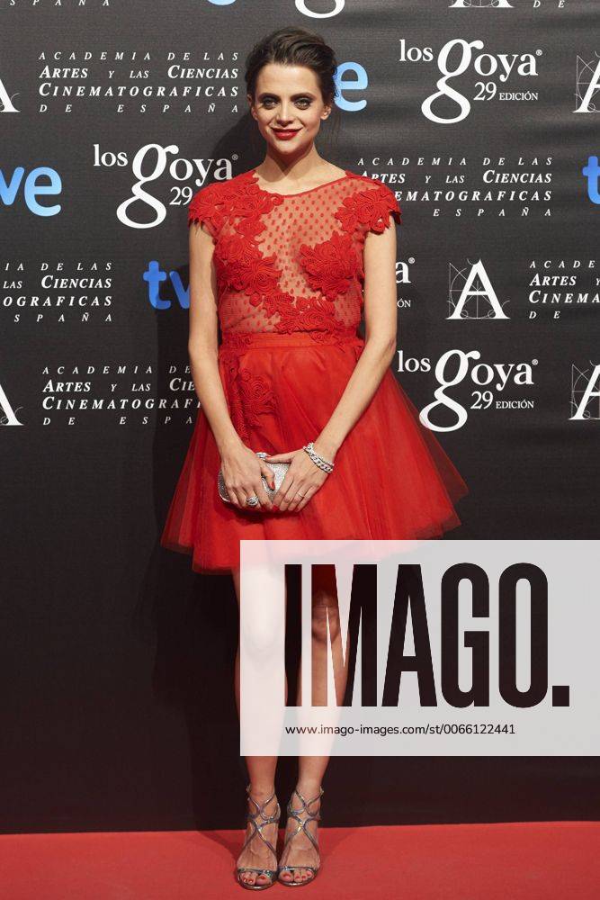 Jan. 19, 2015 - Madrid, Spain - Macarena Gomez attends the 29th Goya Awards Nominated party at the Canal Theater on January 19, 2015 in Madrid, Spain. - ZUMAg15