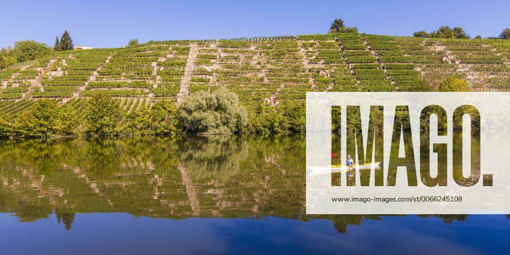 Deutschland - Flüsse, Neckar Germany, Stuttgart, woman kayaking on Neckar in front of vineyards model released Symbolfoto property released WDF003251