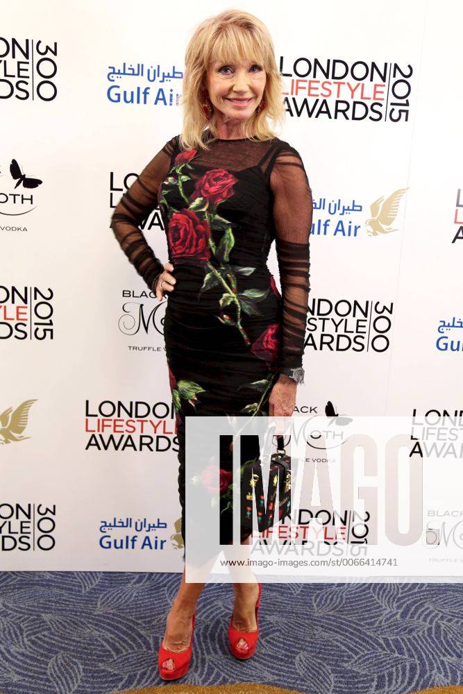 London Lifestyle Awards 2015 London, UK. Sue Vanner at London Lifestyle Awards, London, Britain on Wednesday 28 October 2015. LMK381 -50408-291015